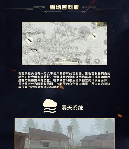 荒野行动（攻略大揭秘）
