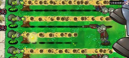《植物大战僵尸》游戏文攻略第三关（6-10）