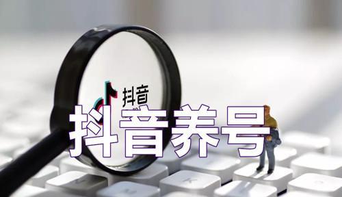 《神雕侠侣2》游戏中如何多号养一个平民搬砖养号的方法（快速积累财富与经验）
