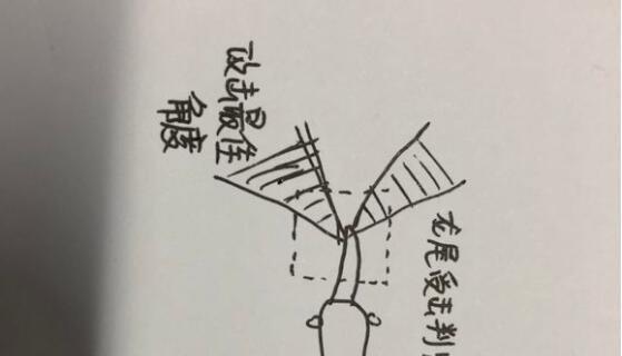 猎魂觉醒羽龙打法详解？羽龙战斗技巧有哪些？