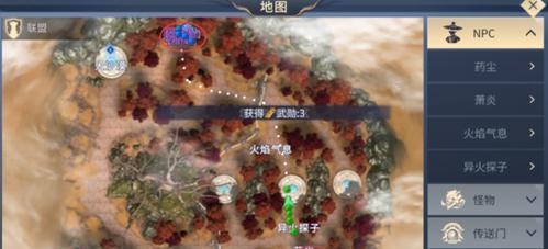 石族技能如何选择？搭配技巧有哪些？