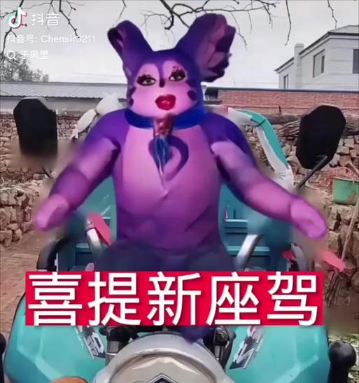 王者荣耀中的胖猫声音是如何产生的？背后有什么故事吗？