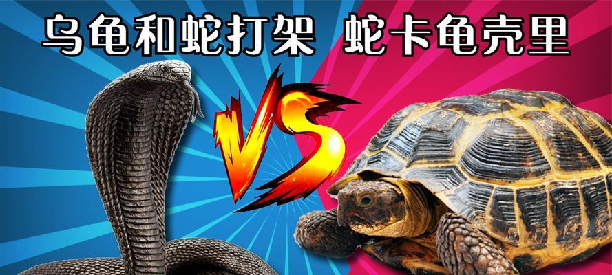 完美世界蛇盘乌龟如何获得？
