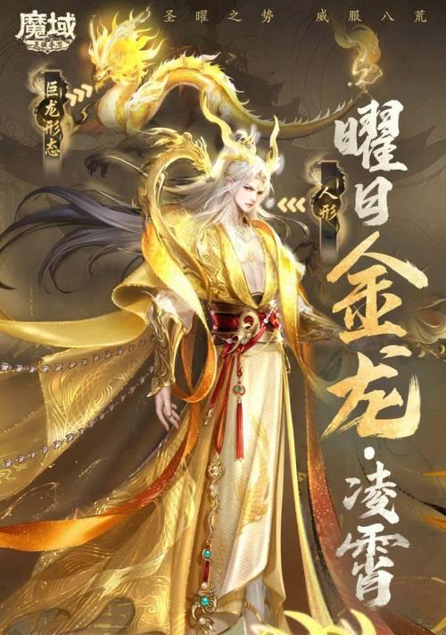魔域法师龙年兽技能有哪些？如何选择最佳技能组合？