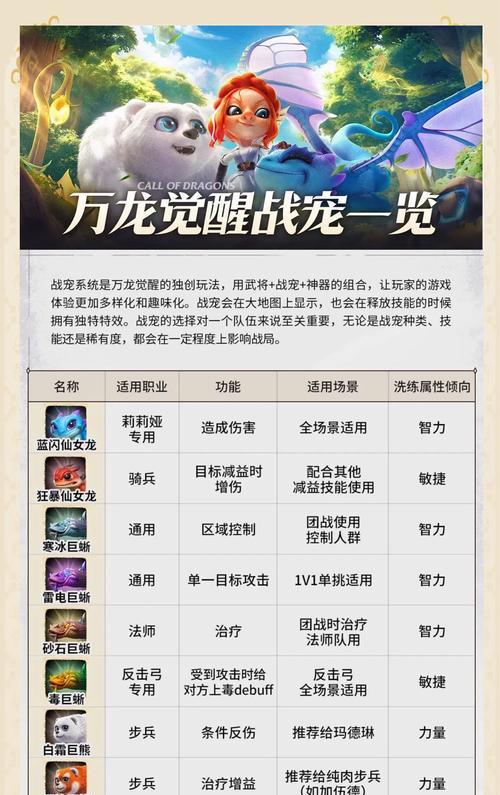 宠物装备属性如何选择？哪些属性对宠物提升最大？